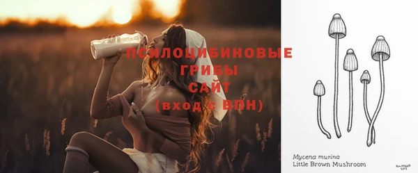 соль курить ск Богданович